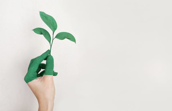 How Can Proactive Health Help Our Environment?
