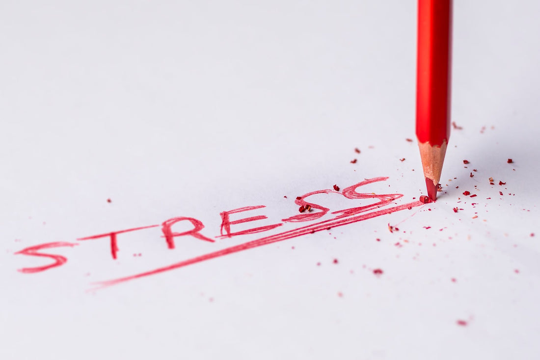 How To Handle Chronic Stress?