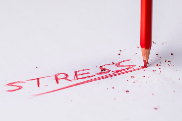 How To Handle Chronic Stress?