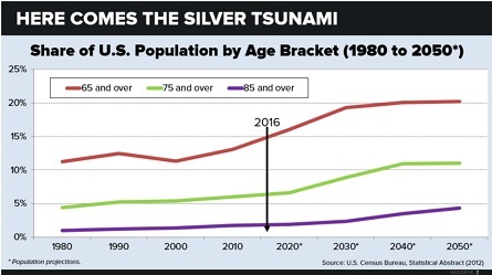 silver-tsunami 